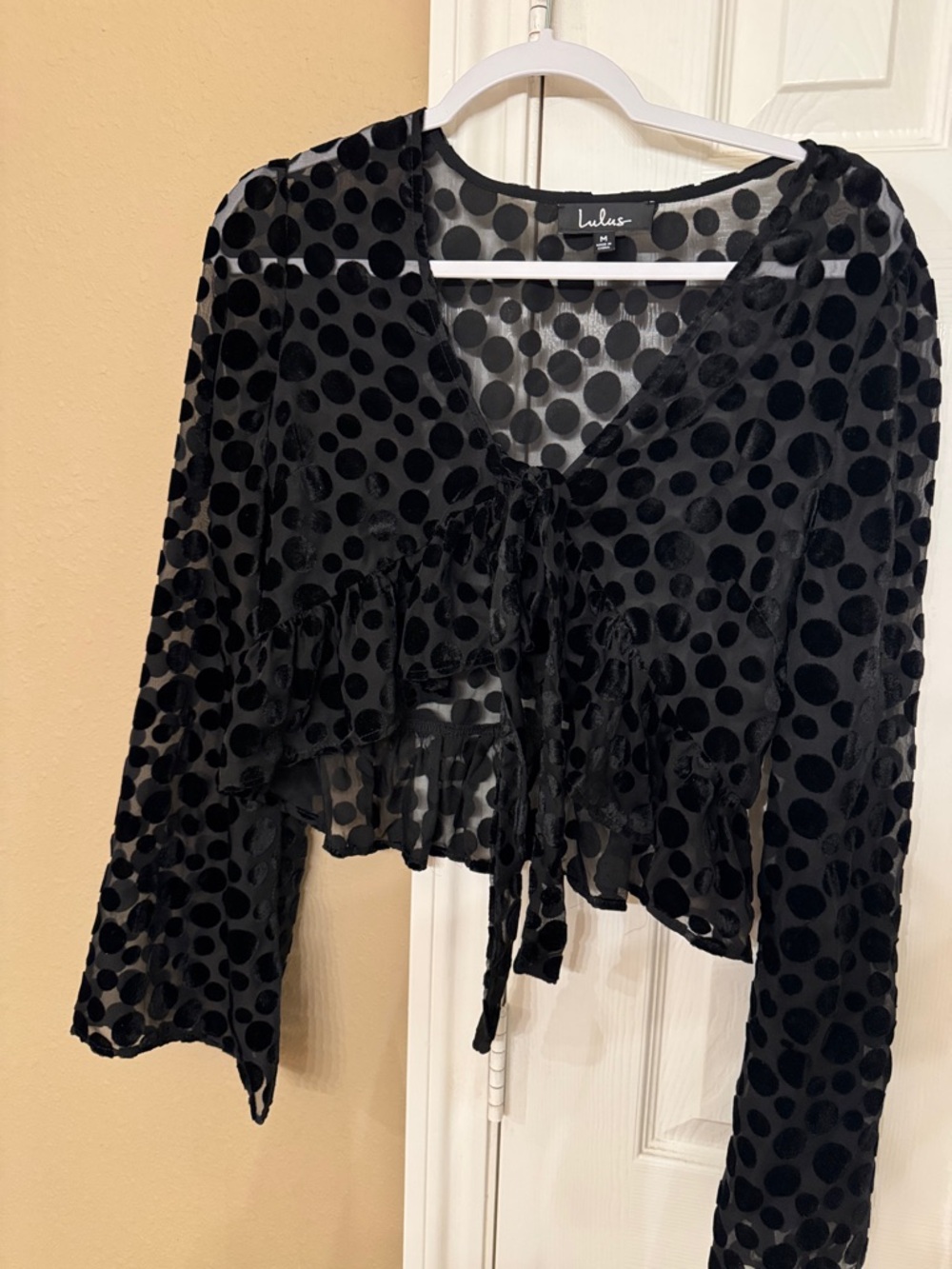 Lulu's Black Polka Dot Sheer Tie-Front Blouse